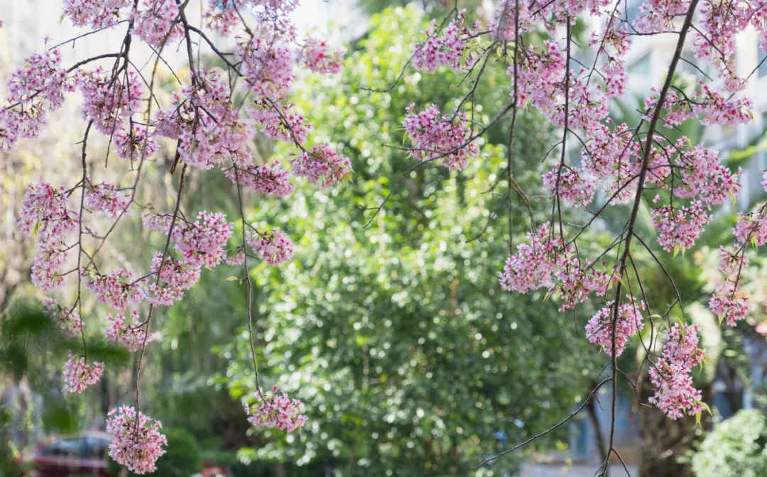 晋宁 诗意的栖居地