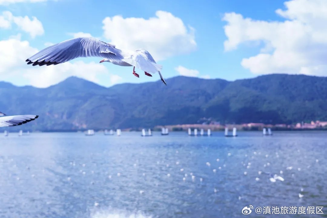 滇池旅游度假区