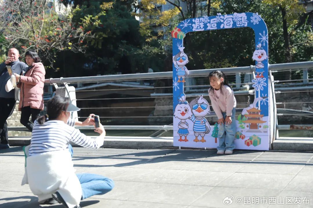 昆明市西山区发布