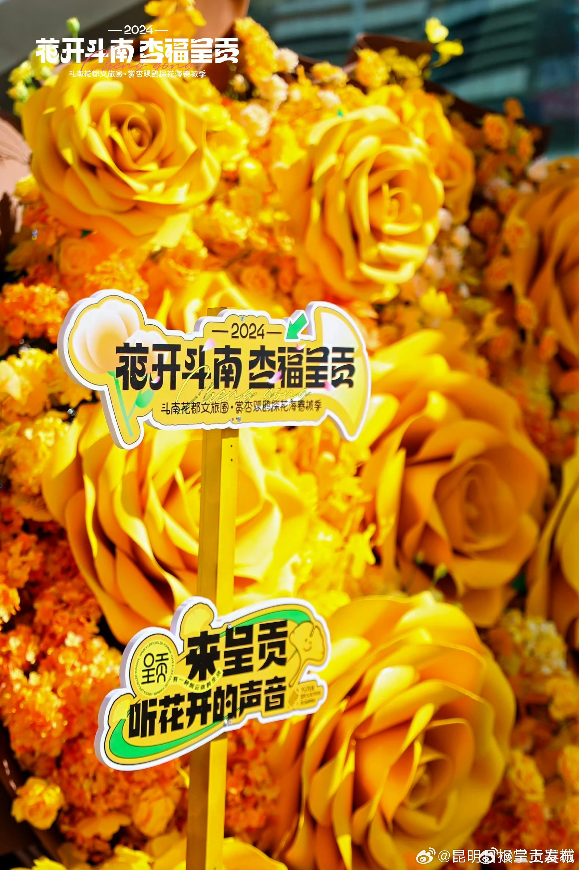呈贡发布