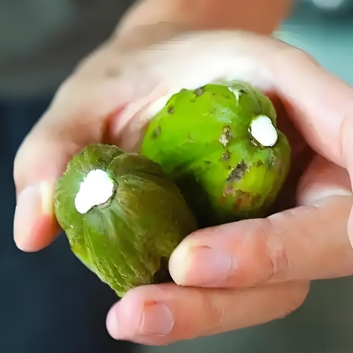 昆明市中医医院