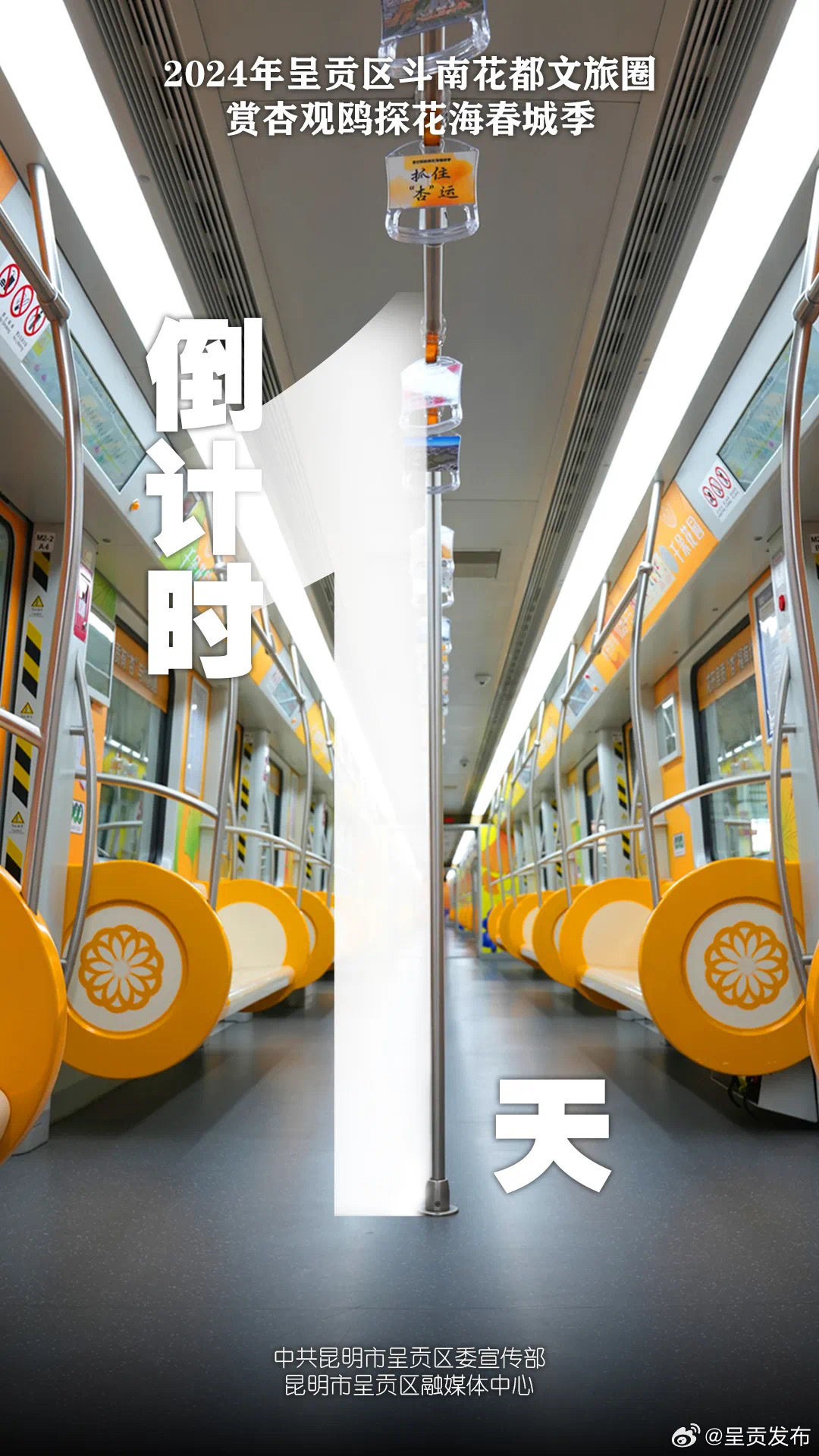 倒计时1天！2024年呈贡区斗南花都文旅圈——赏杏观鸥探花海春城季活动期待你的到来