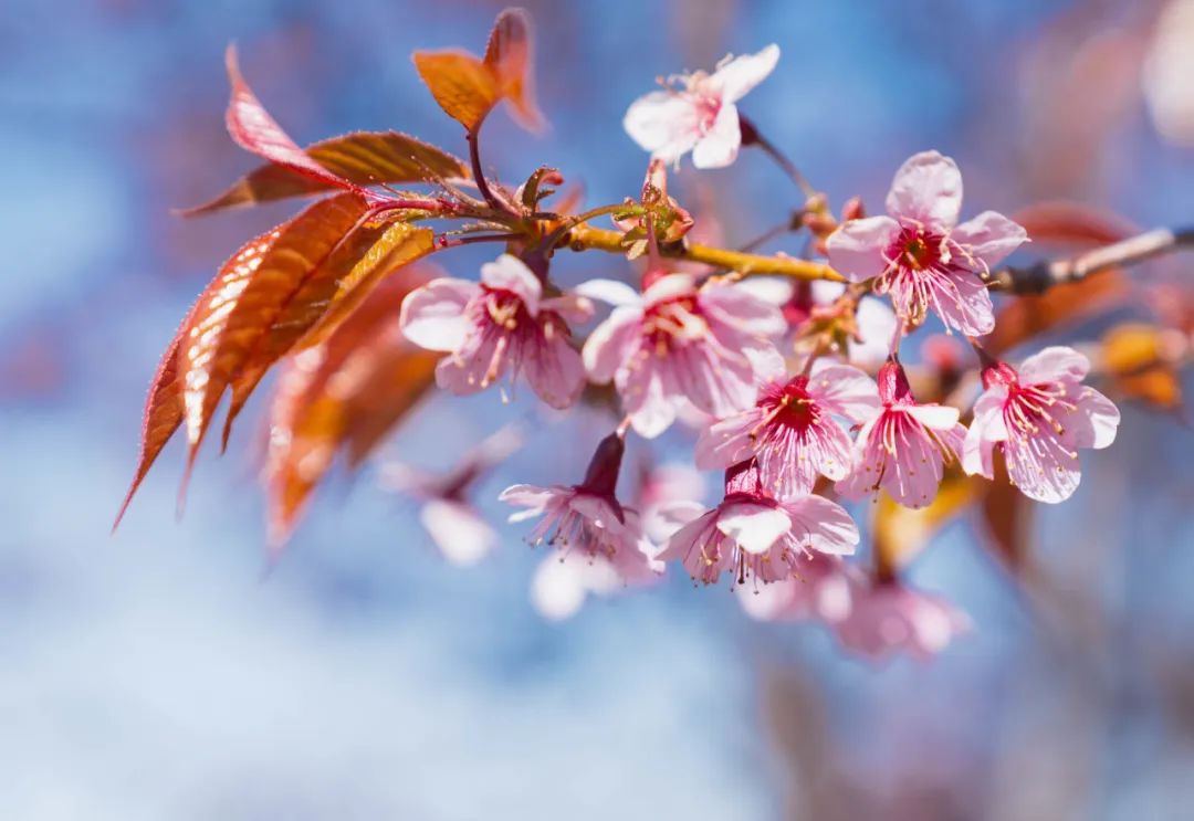 晋宁 诗意的栖居地