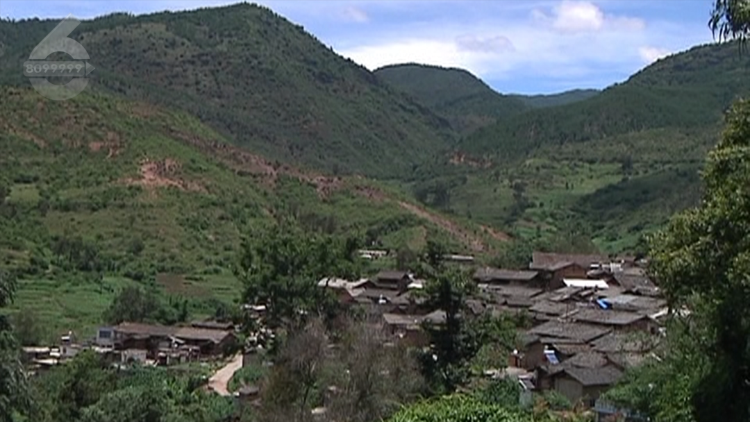 8099999街头巷尾微信