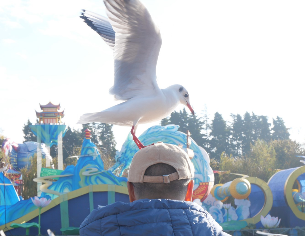 FM954汽车音乐广播