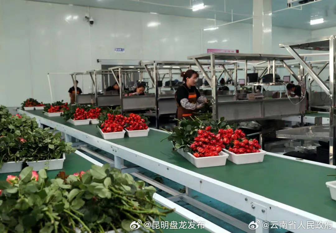 云南健全支持体系促进返乡回流劳动力再就业