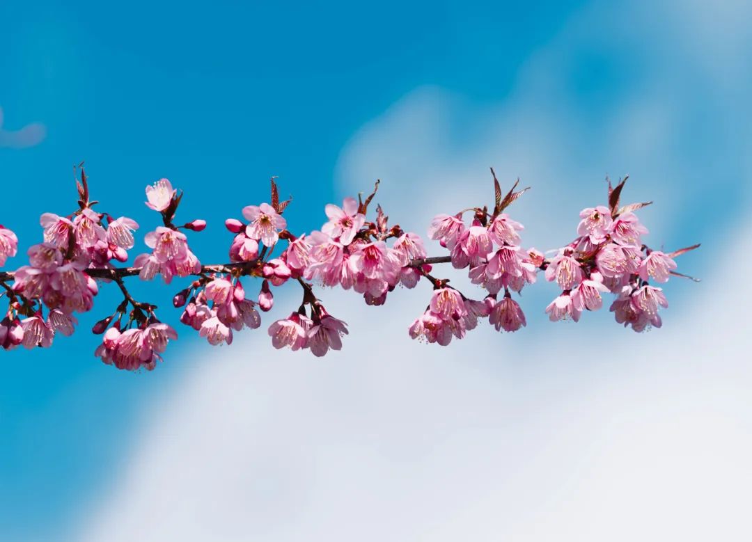 晋宁 诗意的栖居地