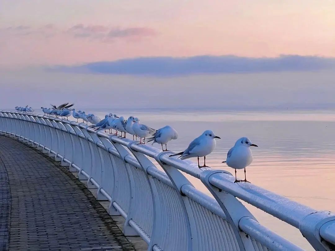 昆明广播电视台经济生活频道