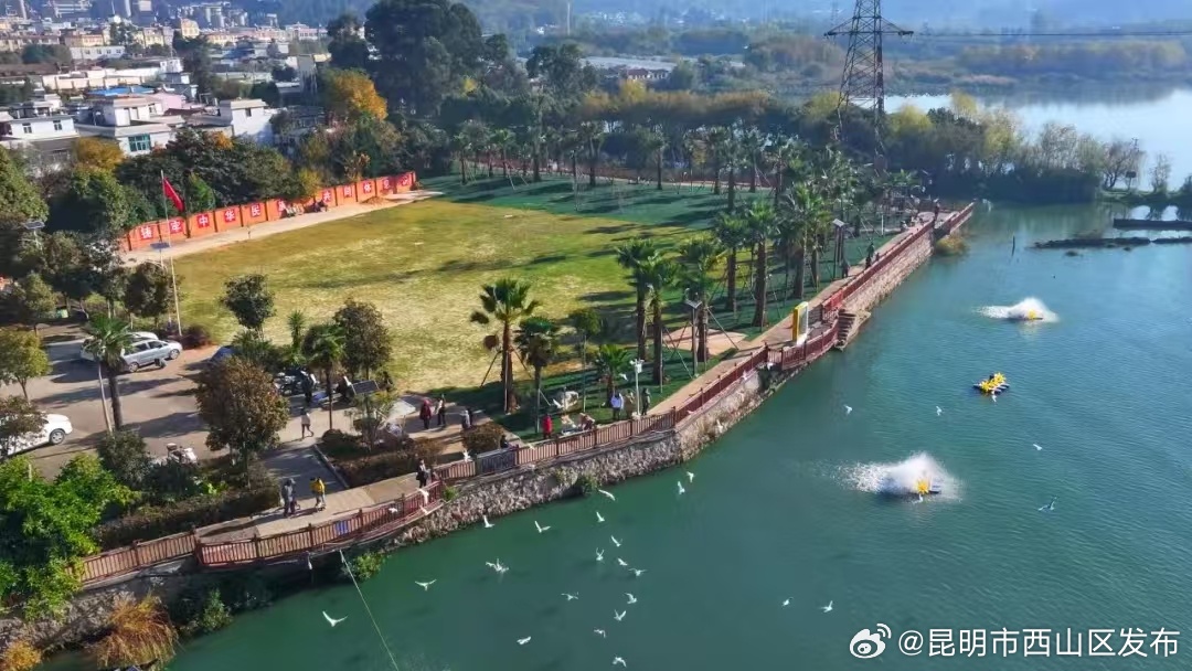 昆明市西山区发布