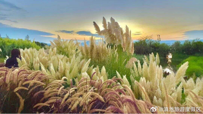 滇池旅游度假区