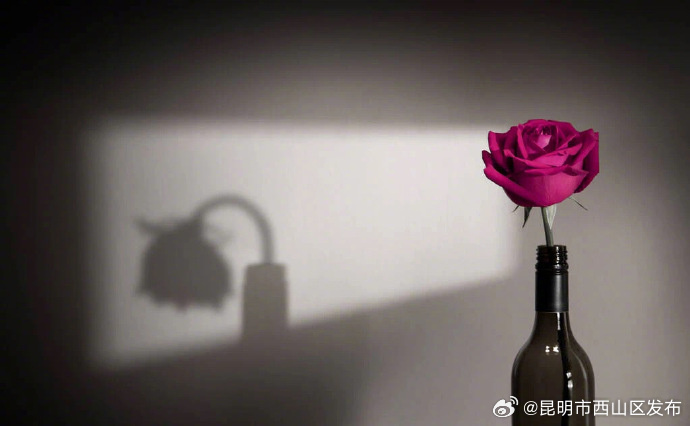 昆明市西山区发布