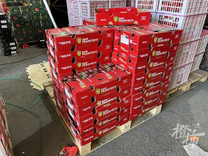 掌上春城微信
