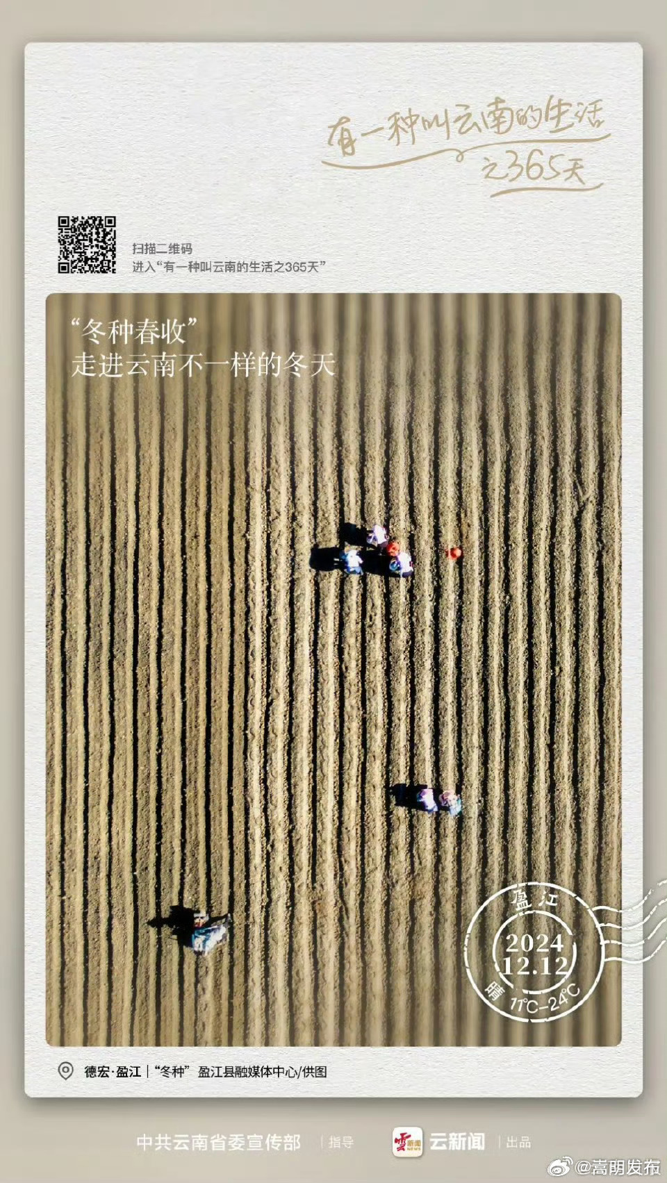 “冬种春收” 走进云南不一样的冬天｜有一种叫云南的生活之365天 