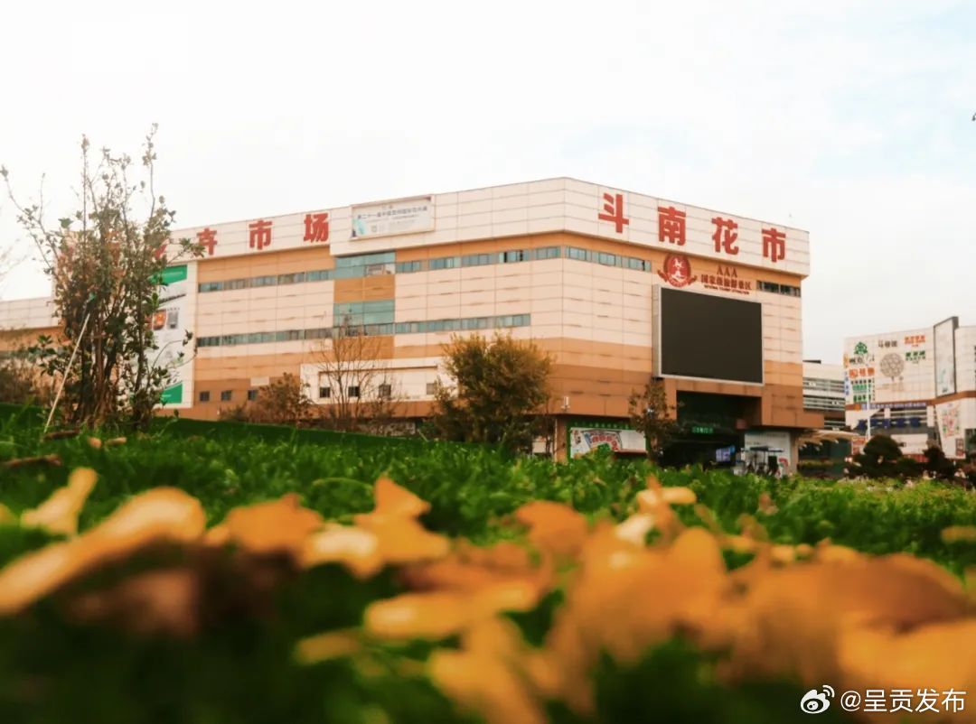 “杏”好有你，打卡出片宝藏