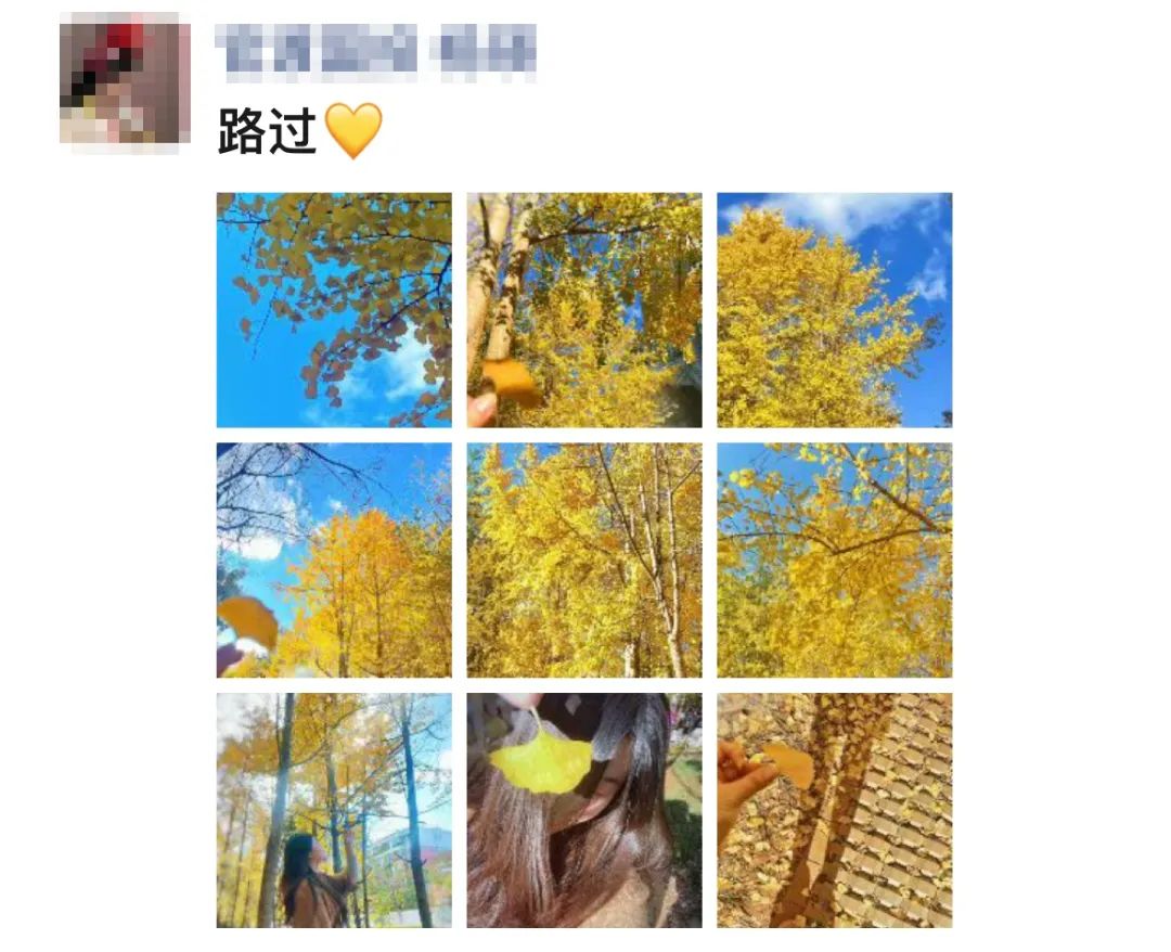 掌上春城微信