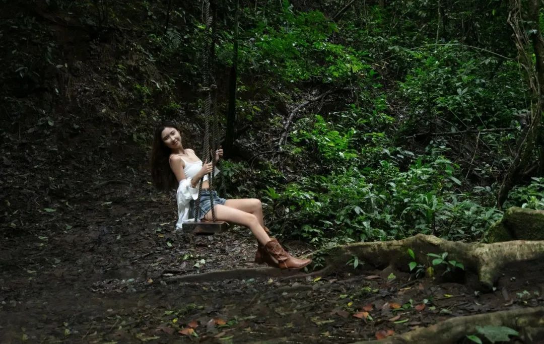 西双版纳望天树景区