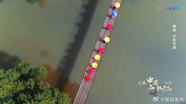 《炫美中国·七彩云南》自然篇丨傣族，水的民族