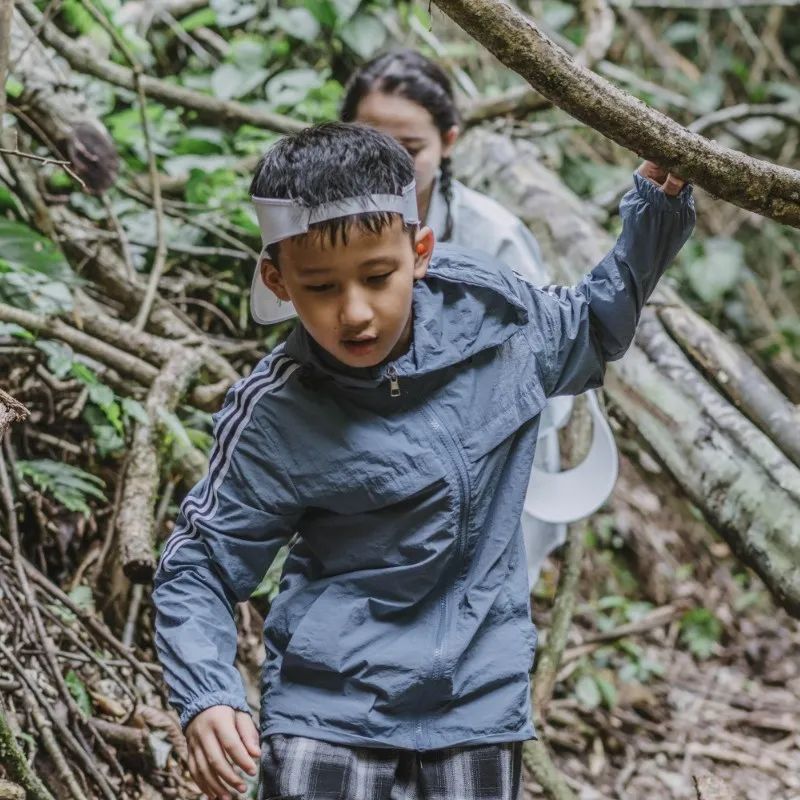 西双版纳望天树景区