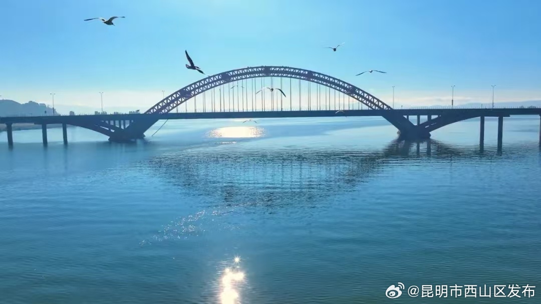 昆明市西山区发布