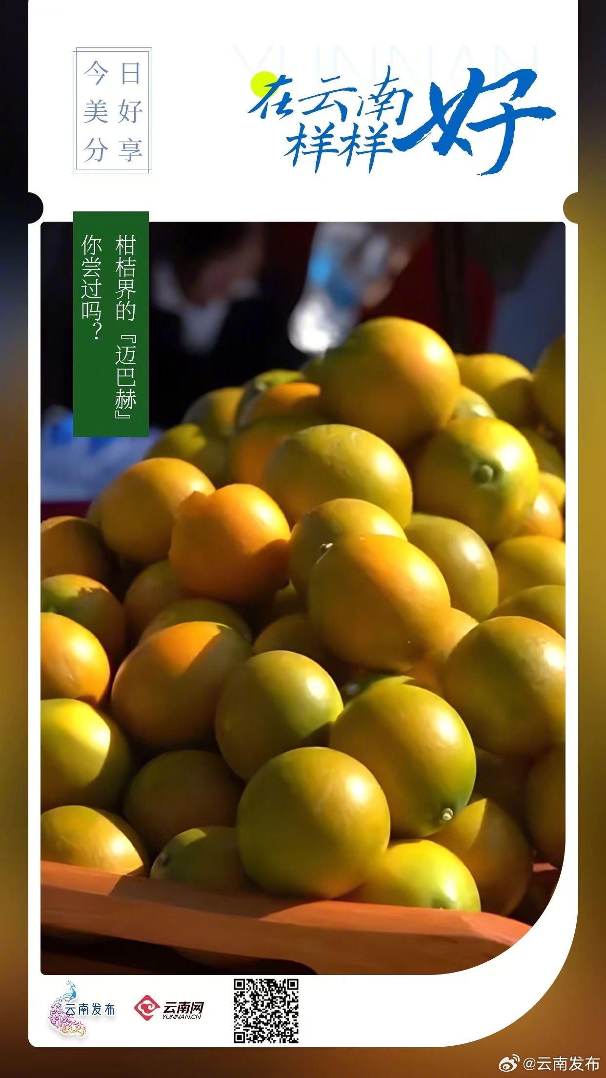柑桔界的迈巴赫你尝过吗?