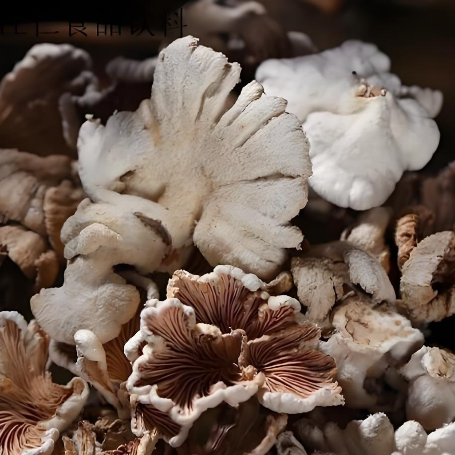 昆明市中医医院