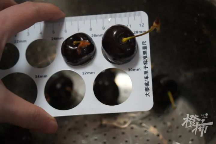 掌上春城微信