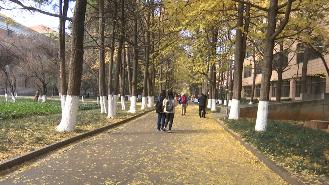 8099999街头巷尾微信