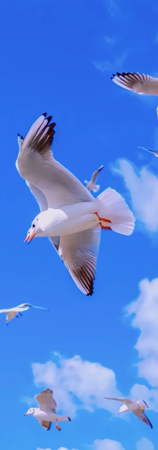 晋宁 诗意的栖居地