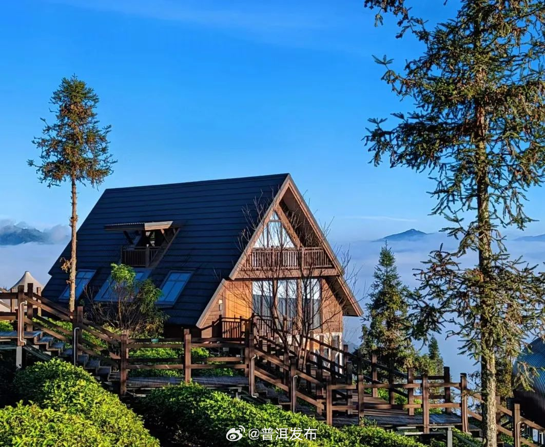 新年掀起新“普洱热” 众多网络达人“香遇”普洱