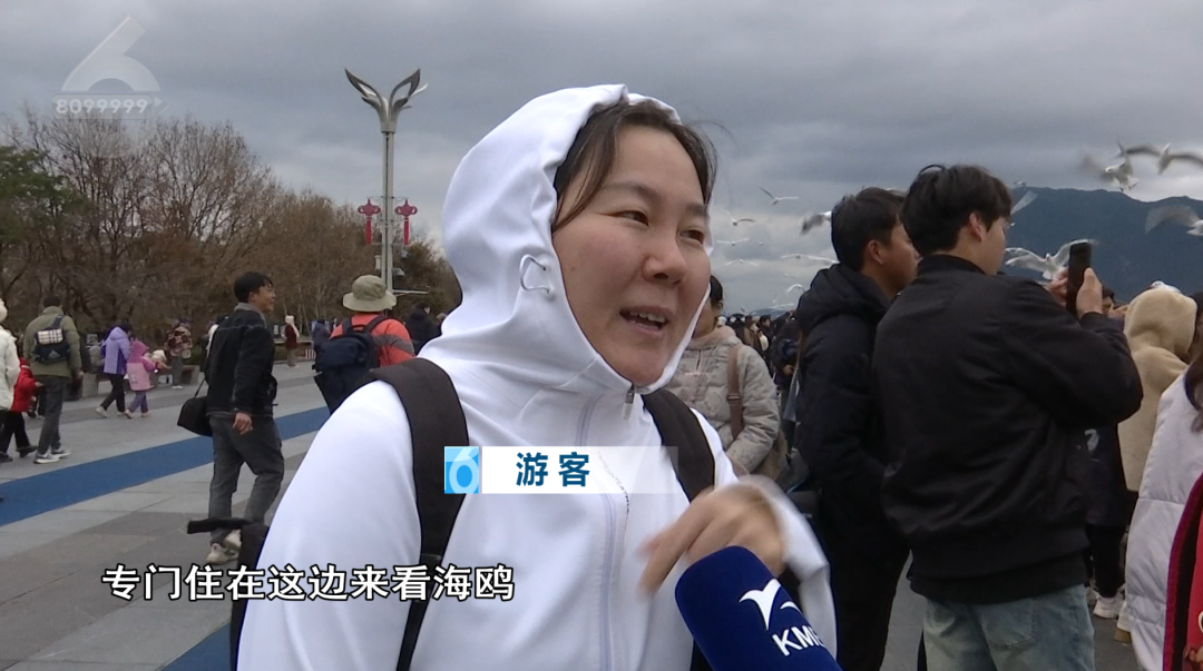 8099999街头巷尾微信