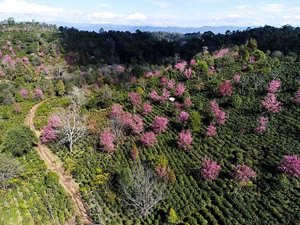 云南省人民政府