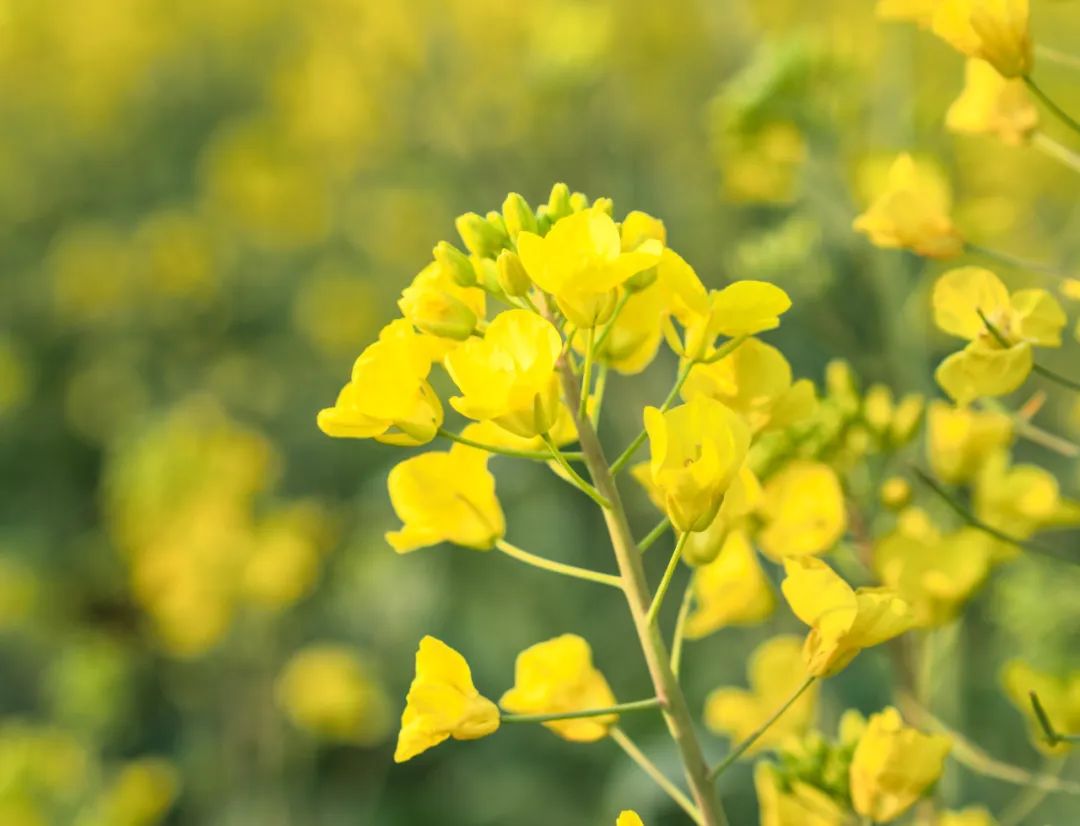 晋宁 诗意的栖居地