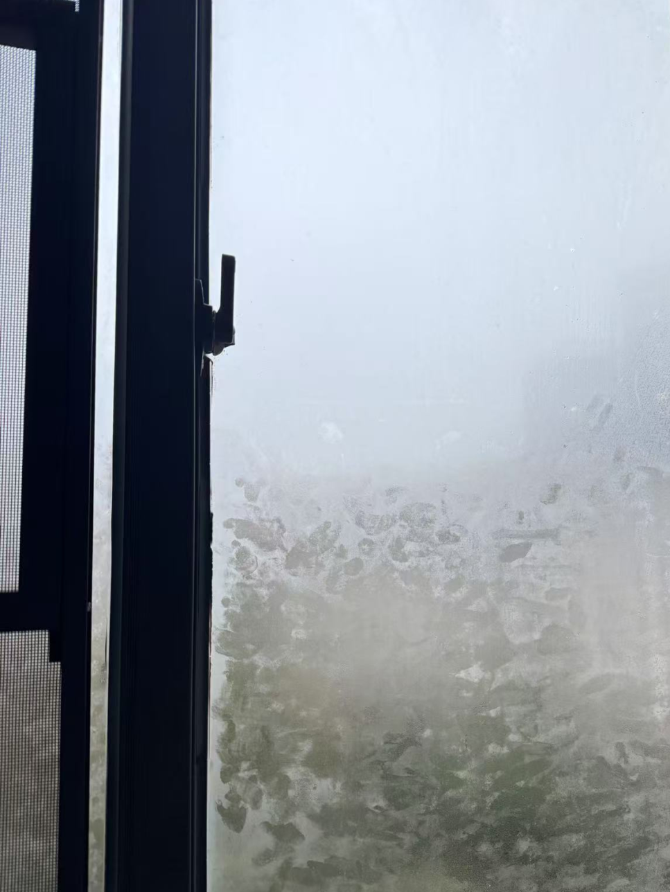 8099999街头巷尾微信