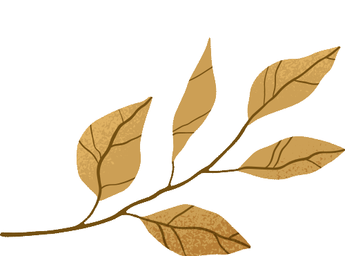 云南省中医医院