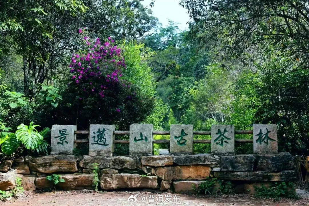 获全国推介！快来打卡普洱这条冬游线路~