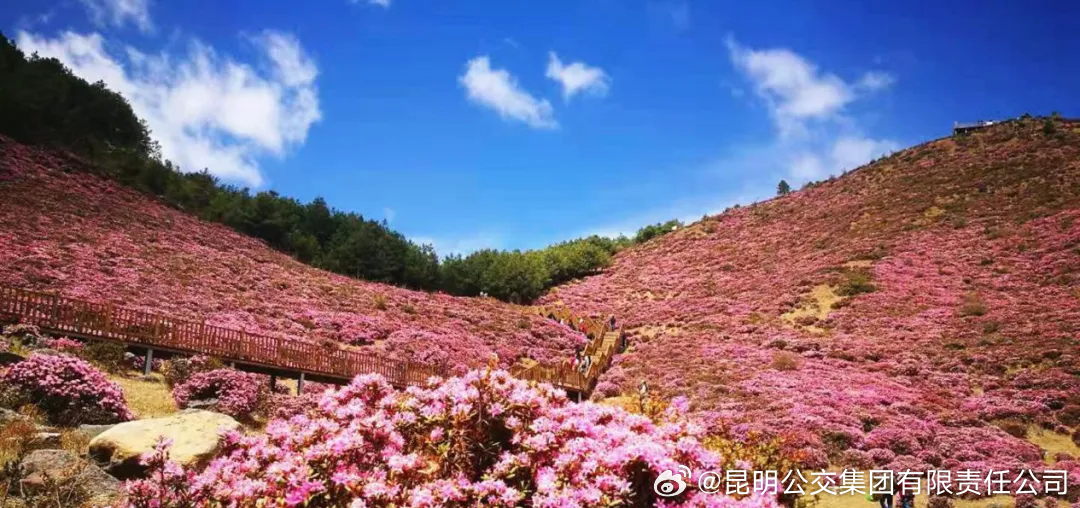 昆明公交集团有限责任公司