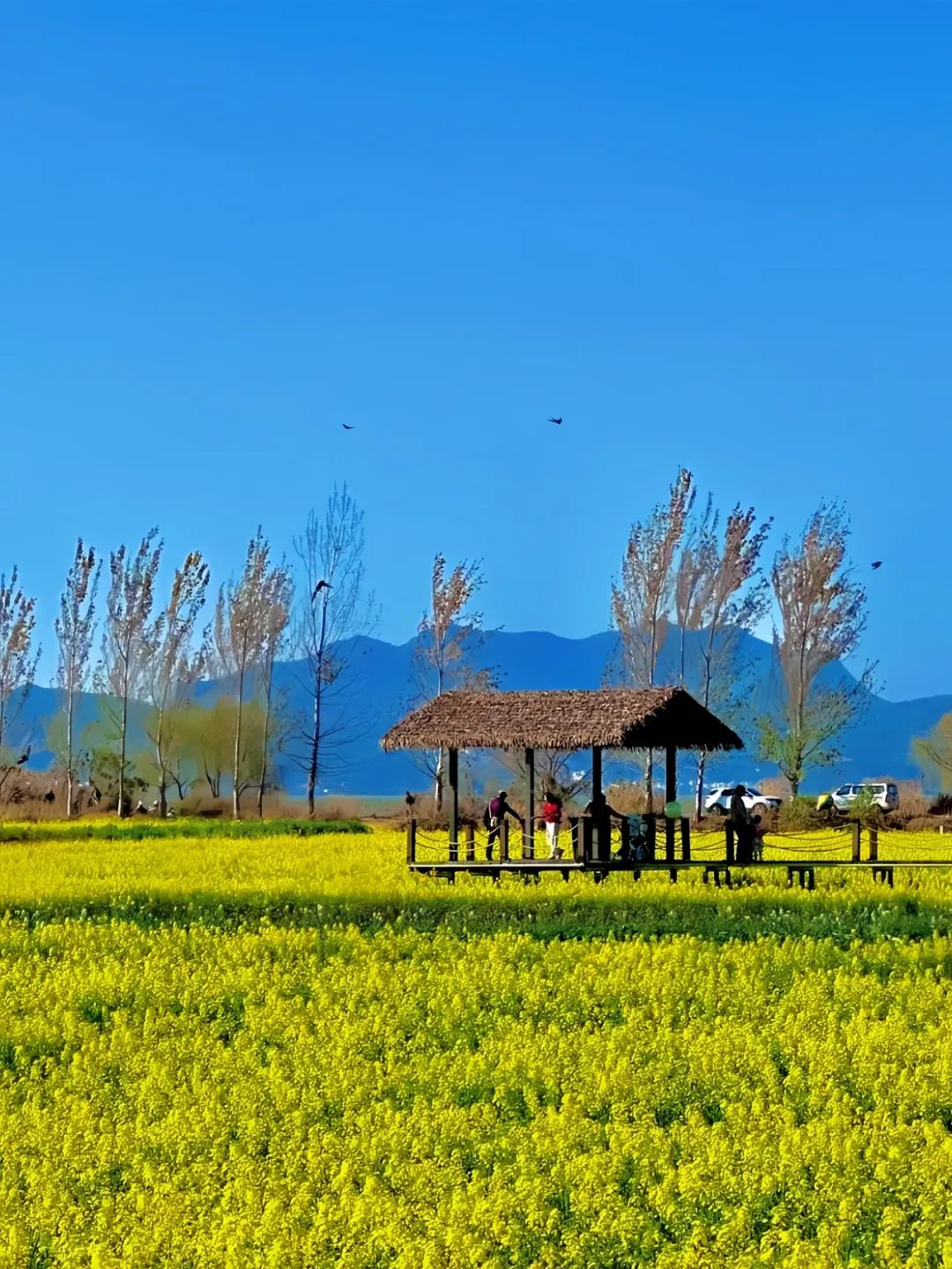 晋宁 诗意的栖居地