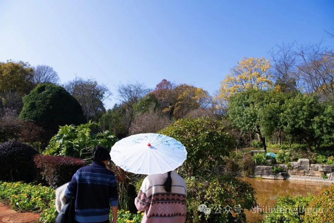石林融媒