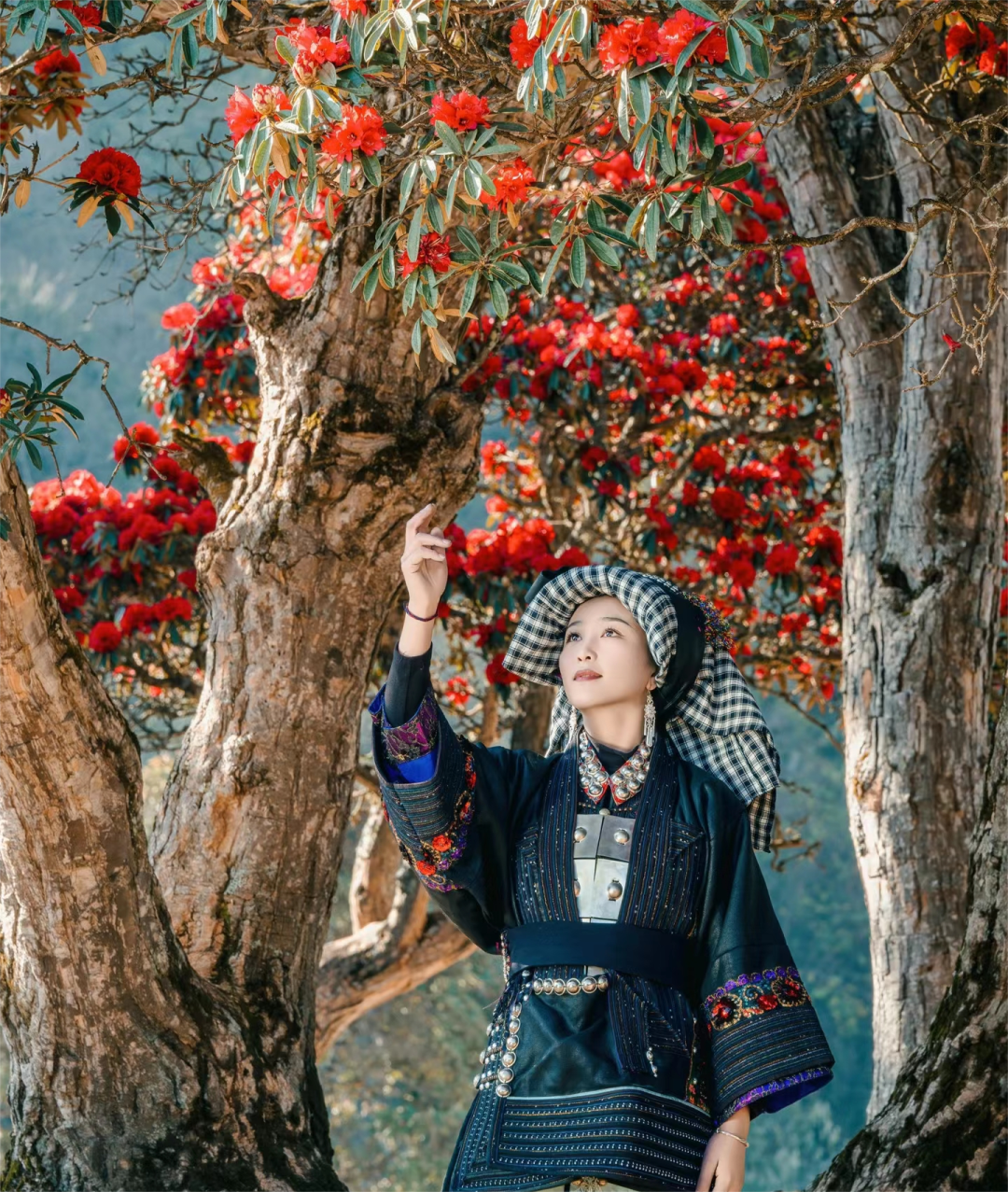 嵩明招商