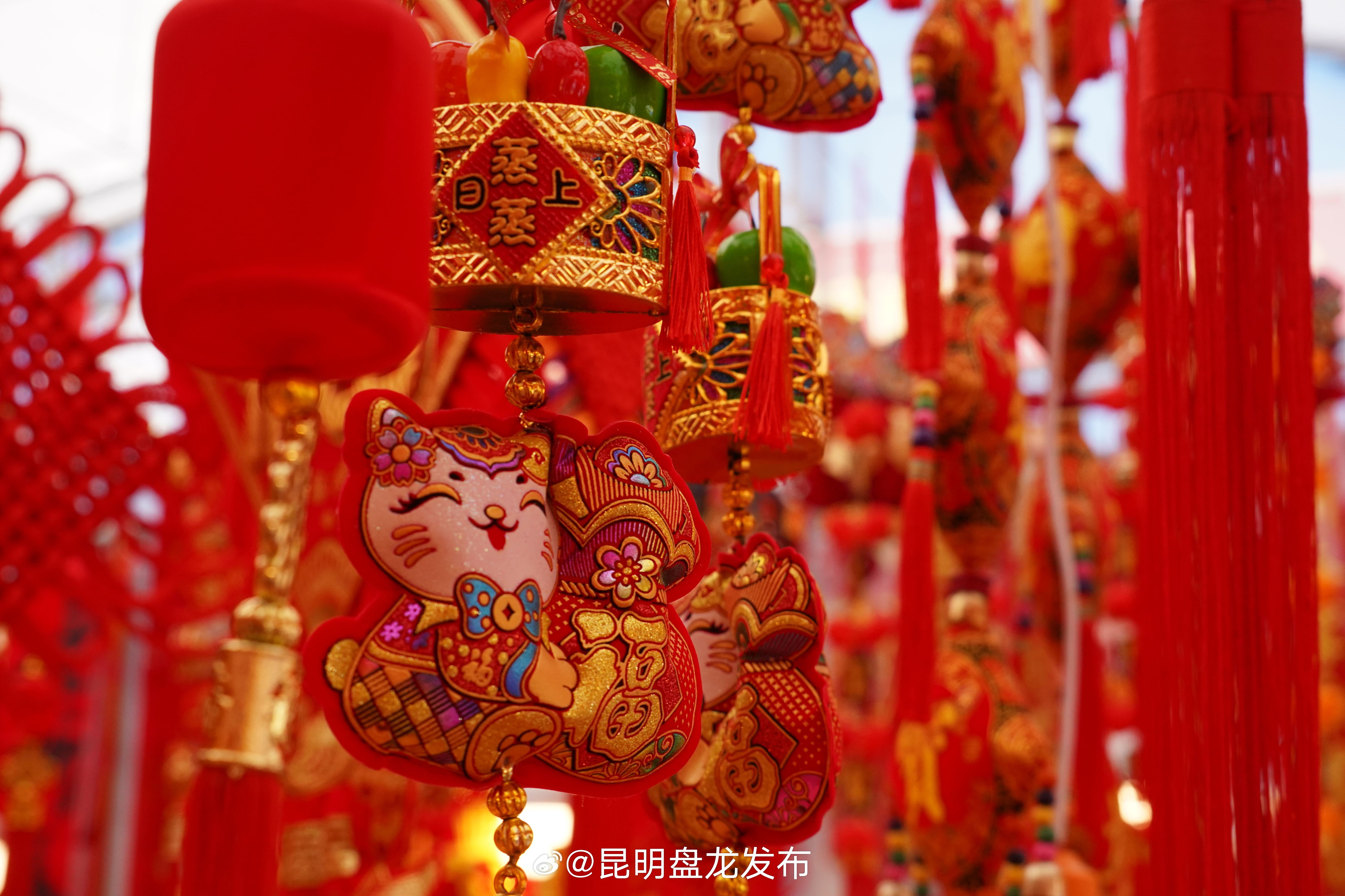昆明盘龙发布