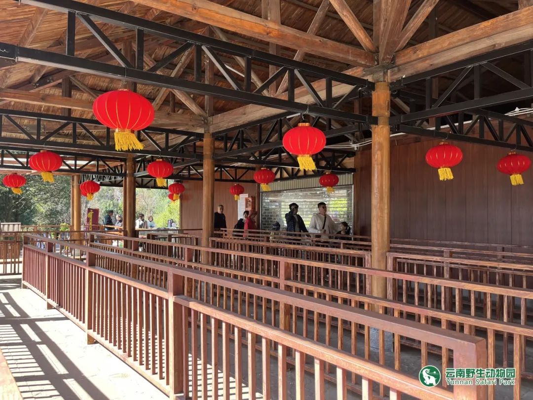 云南野生动物园