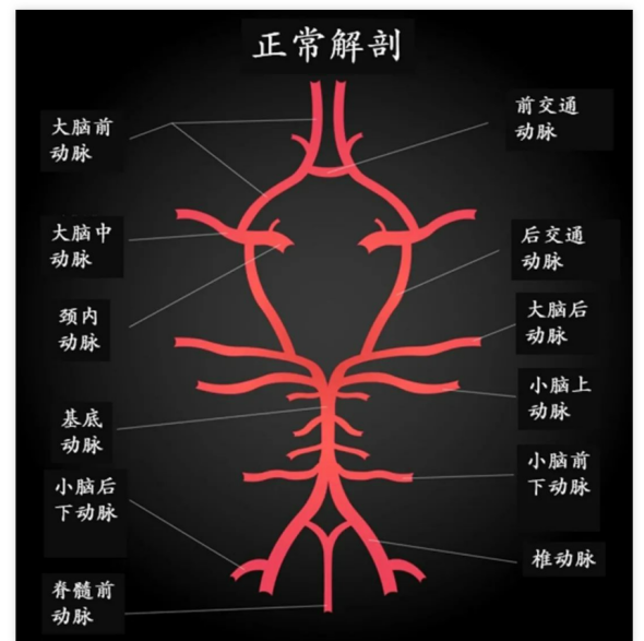云南省中医医院
