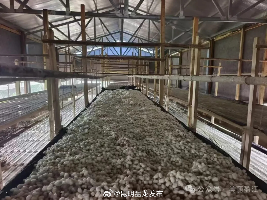 昆明盘龙发布
