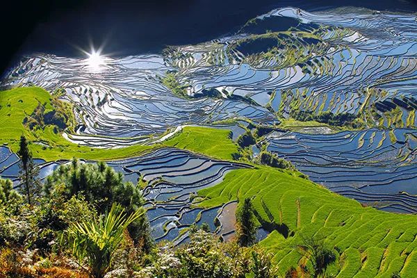 云南省人民政府