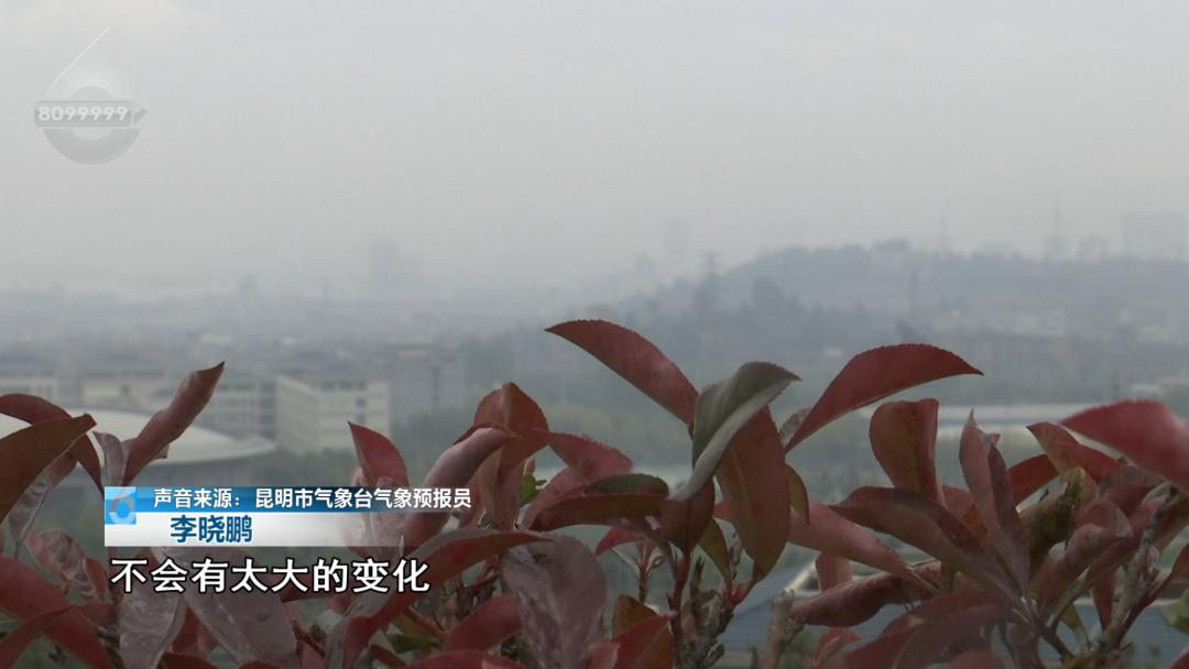 8099999街头巷尾微信