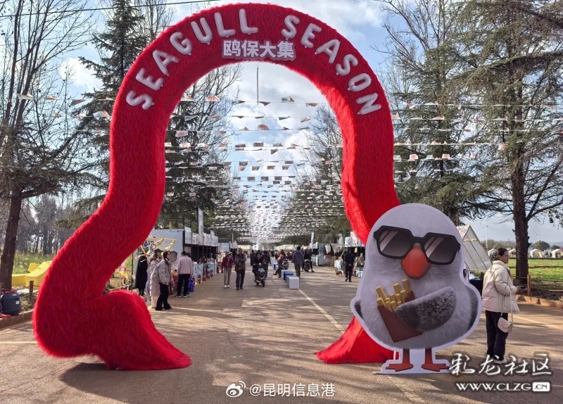 昆明信息港微博