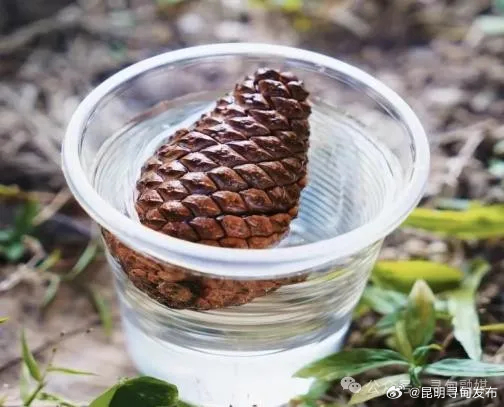 昆明寻甸发布