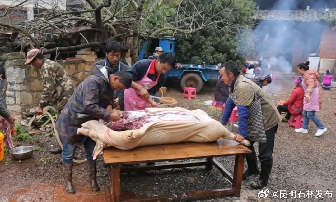 昆明石林发布
