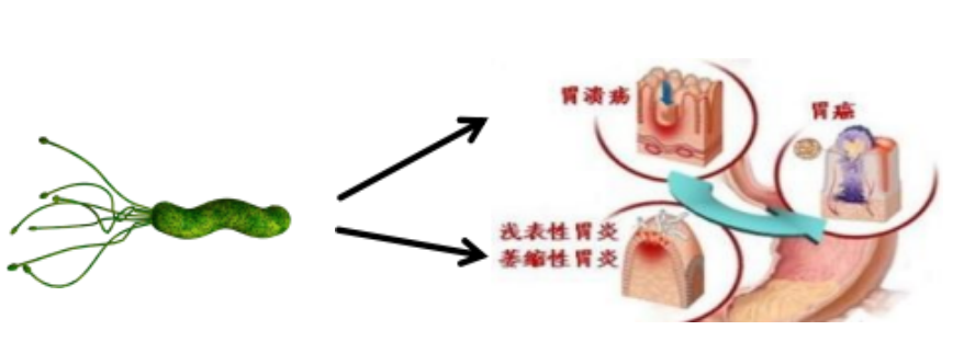 云南省文山州人民医院