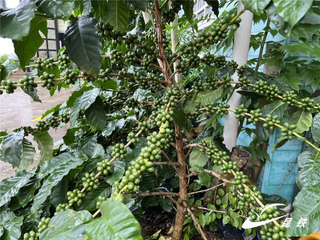 昆明铁路